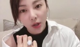 圈内小爆料张雨绮,娱乐圈的“真性情女神”